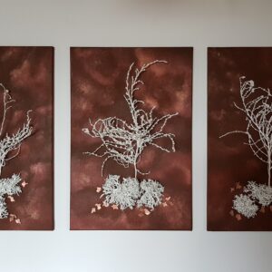 Nature – Bild 4
