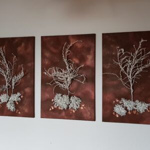 Nature – Bild 2