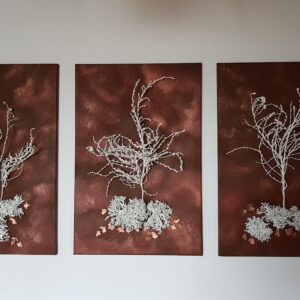 Nature – Bild 3