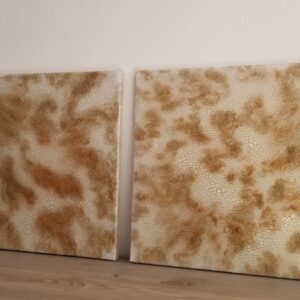 Lightning Dust – Bild 4