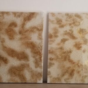 Lightning Dust – Bild 3